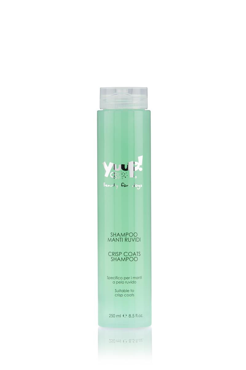 YUUP! CRISP COAT SHAMPOO 250ML