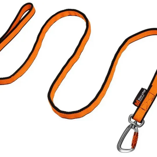 Non-stop: Bungee leash