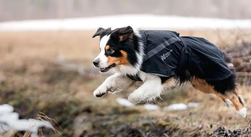 Non-stop: Trekking raincoat - Bilde 2
