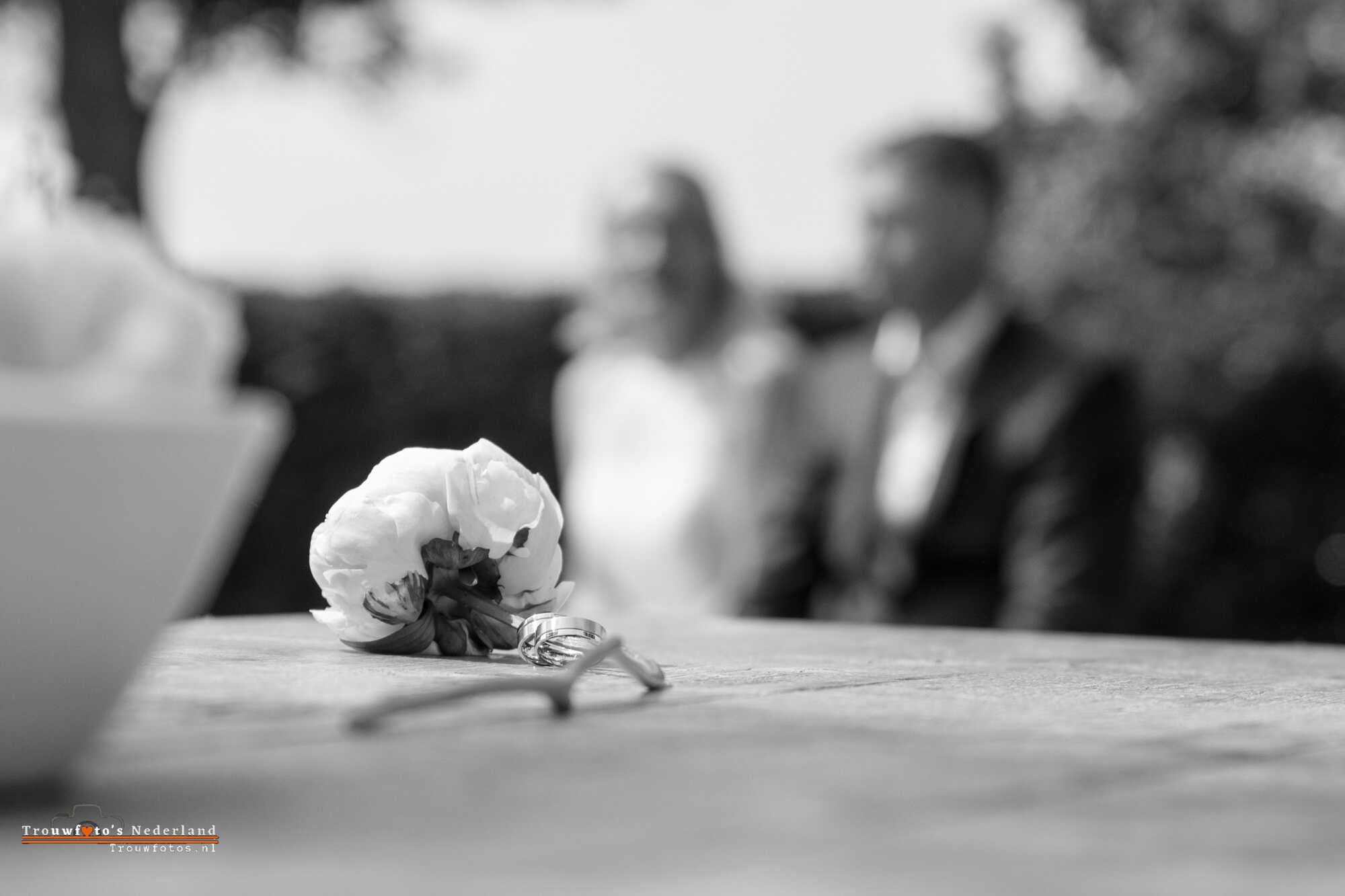 trouwfoto-overijssel--pioenroos met trouwringen bruidspaar op achtergrond