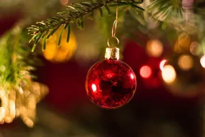 Julfest