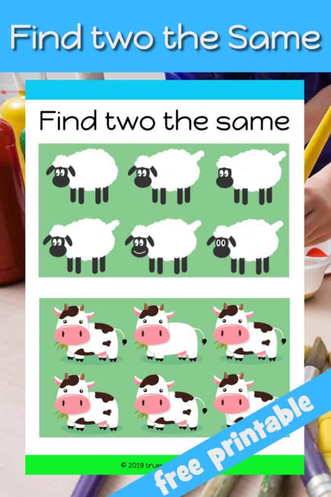 Match the animal pairs - free printable worksheet for preschool children. Job had lots of animals in the Bible can you find two the same.