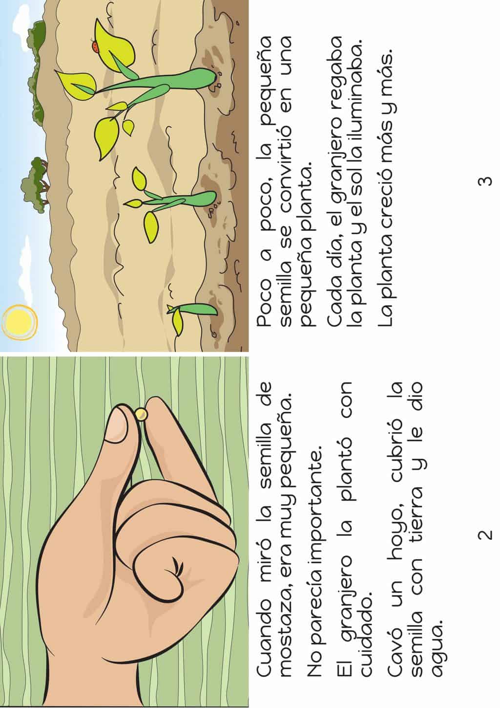 La parábola de la semilla de mostaza Trueway Kids La parábola de la semilla de mostaza Trueway Kids