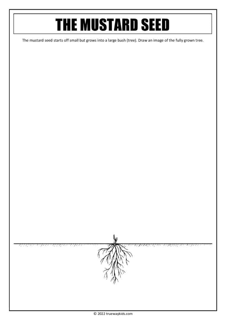 THE PARABLE OF THE MUSTARD SEED Matthew 133132 (Teen Bible Study) Trueway Kids