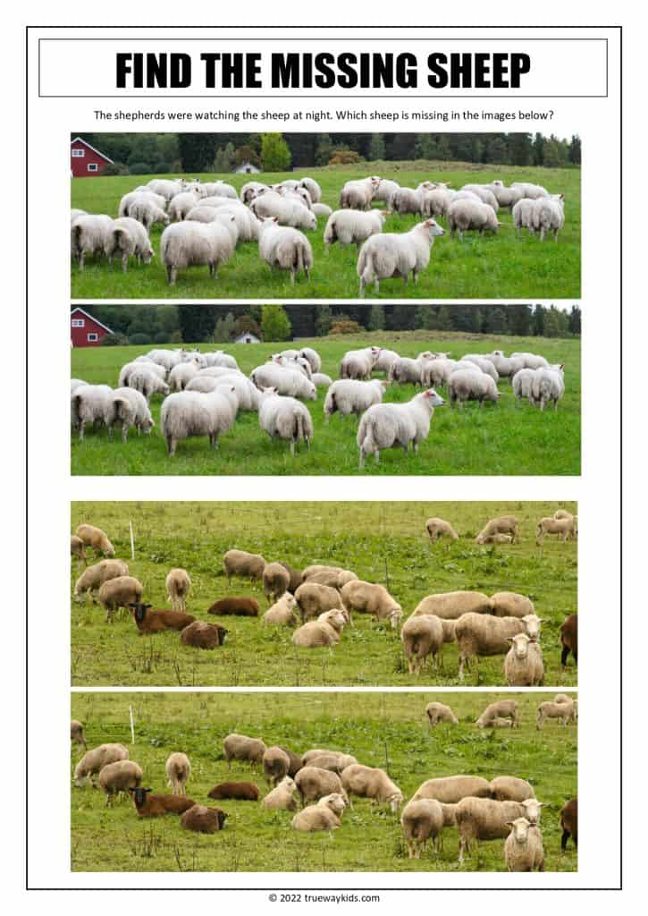 Spot the difference - flock of sheep - worksheet for teens