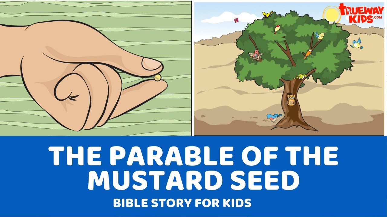 The Parable of the Mustard Seed Trueway Kids
