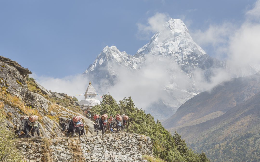 Ama Dablam 2010