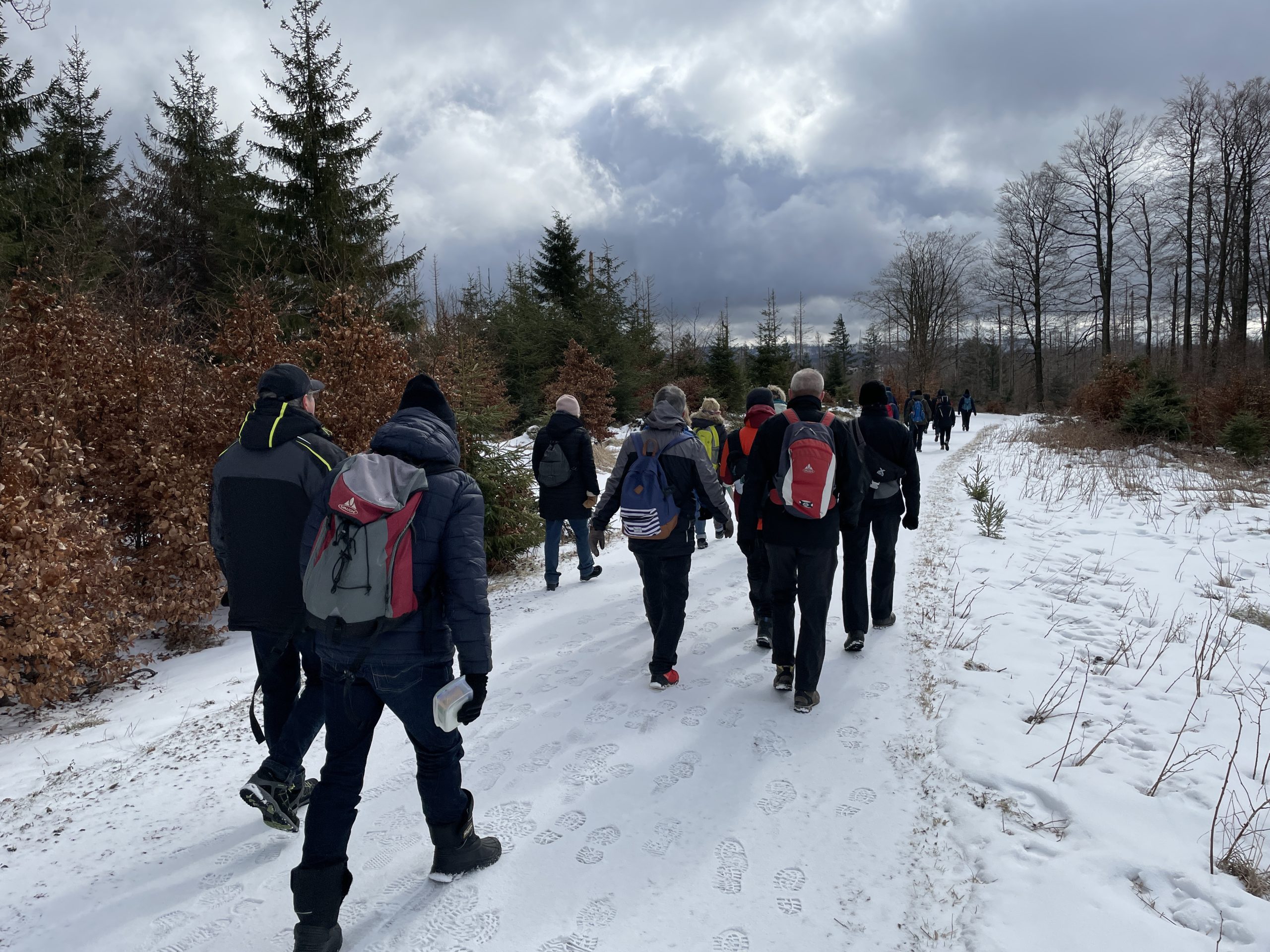 Wanderung rund um den Harzer Königskrug, Braunkohl am Fallstein – der TTC auf Tour