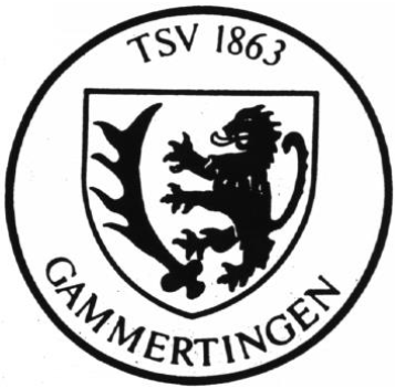 You are currently viewing Stadtmeisterschaften in Gammertingen