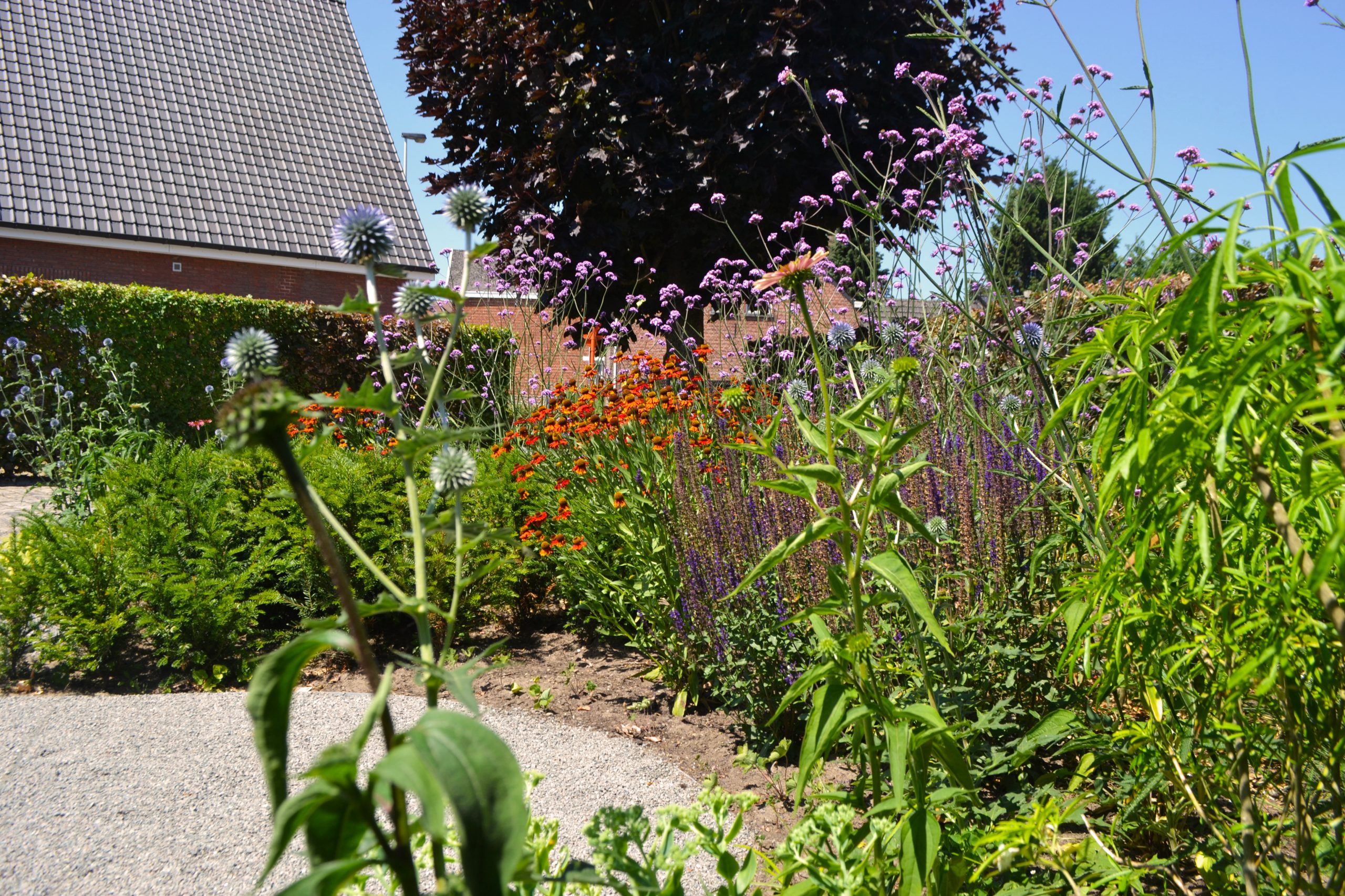 organische voortuin | NIJLEN