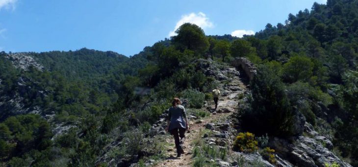 Subida a los fortines de Cabrera