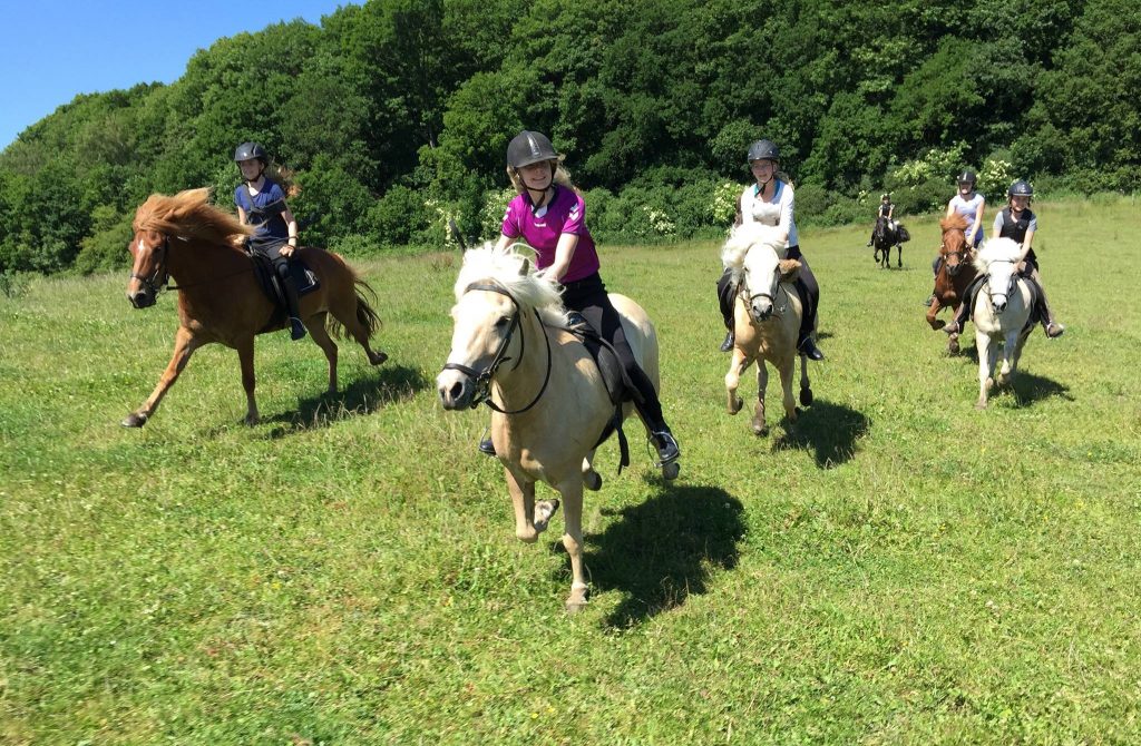 Gallop in the field during riding camp July 2015