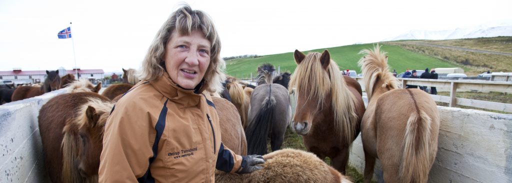 Dorte Pferd Sammlung an Kaltes Land.