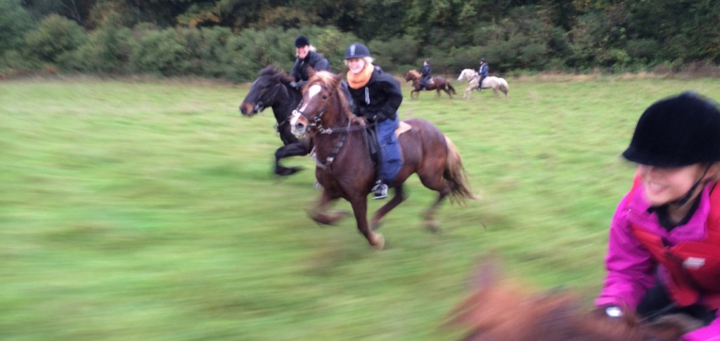 The childre and horses having a good time in the autumn on the first riding camp in 2014 - see the pictures here.