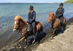 Langs stranden ved Damsbo