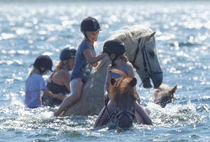Jøkull i vandet med pigerne på en ridelejr.