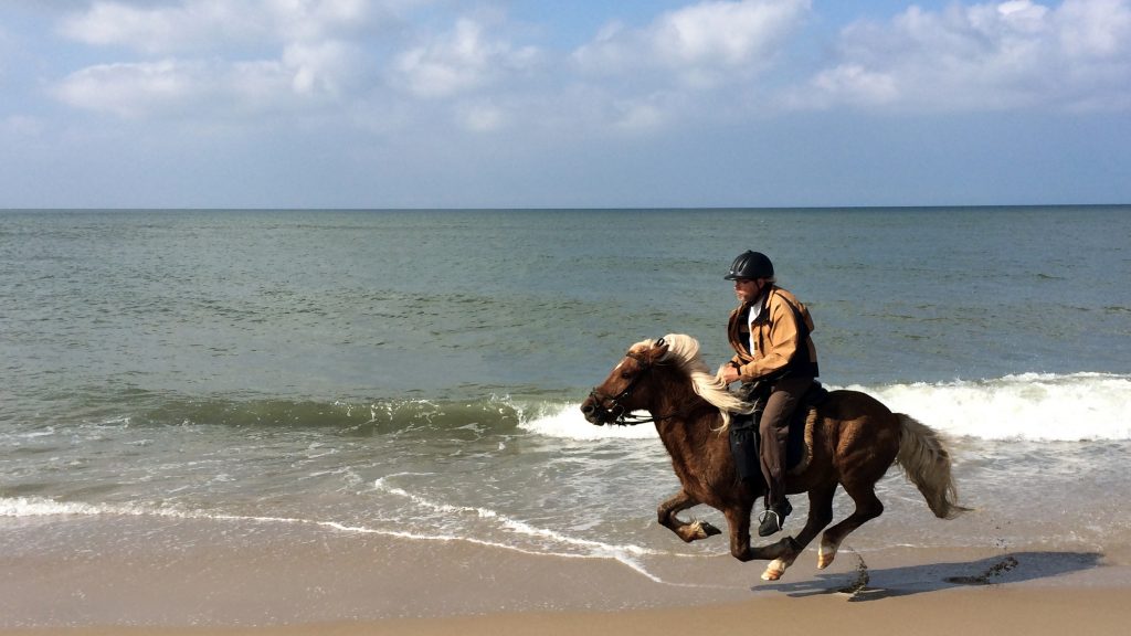 John i galop på Refur langs Vesterhavet i 2014.