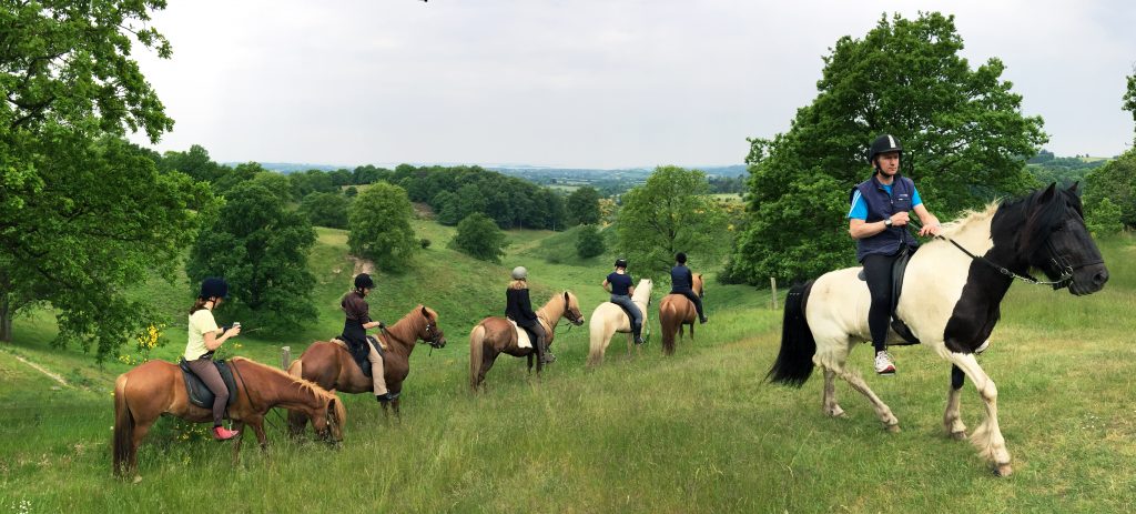 Auf dem Pferderucken in Svanninge Bakker.