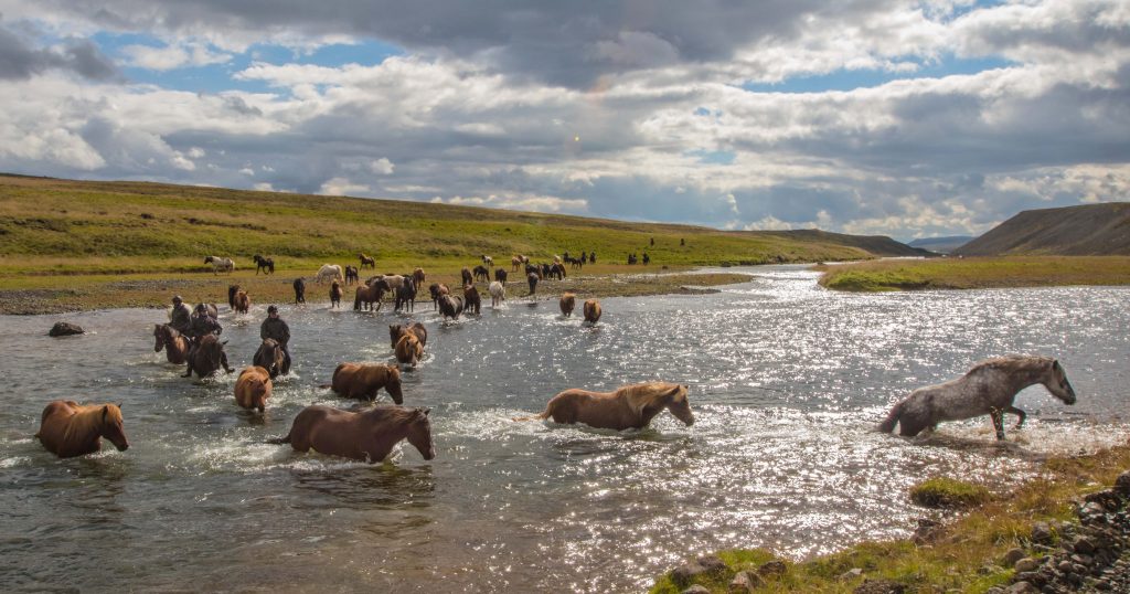 Krydser en flod på Island 2016.