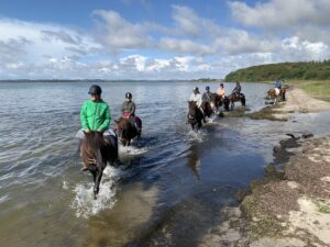 En heldagstur til stranden.