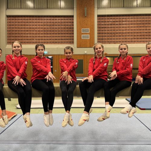 Pokalwettkampf Gerätturnen