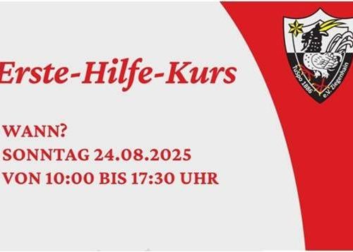 Erste Hilfe Kurs am 24. August 2025 in Ziegenhain
