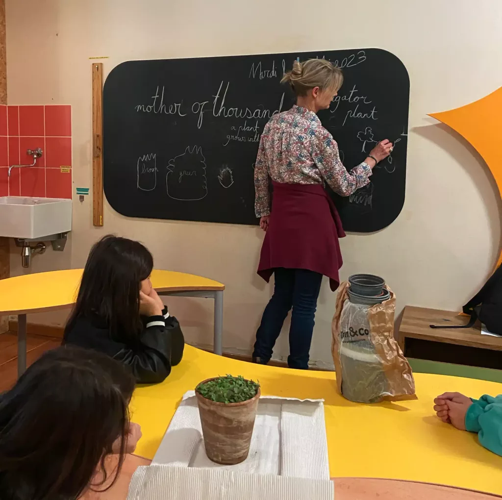 L&rsquo;école primaire bilingue