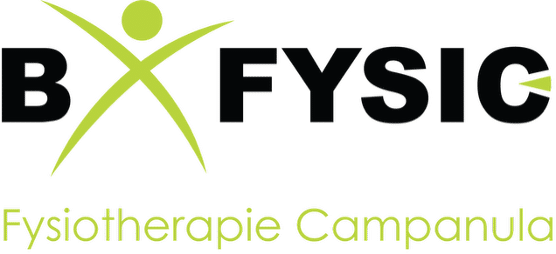 Logo B-Fysic
