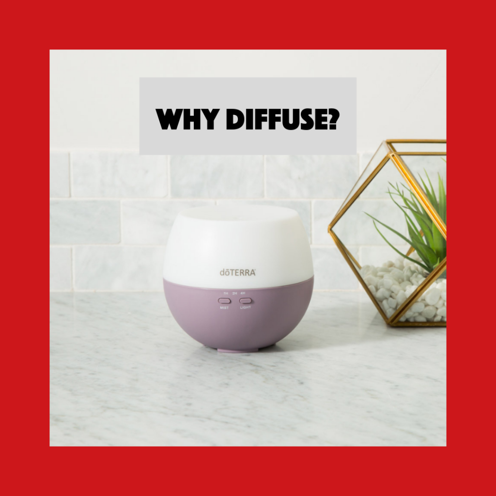 Petal Diffuser