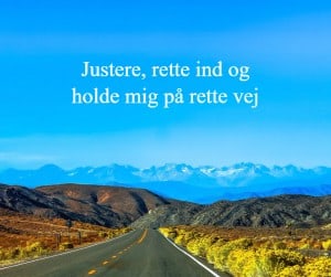 Undervisningen - justere, rette ind og holde mig på rette vej