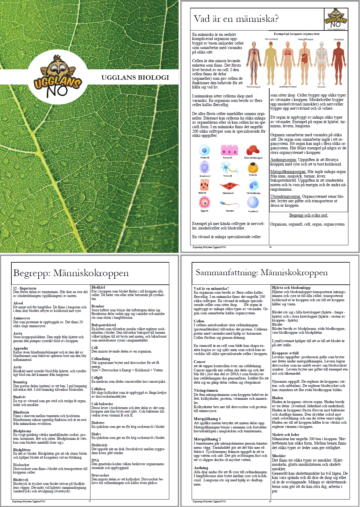 Ugglans biologi 7-9 Textbok
