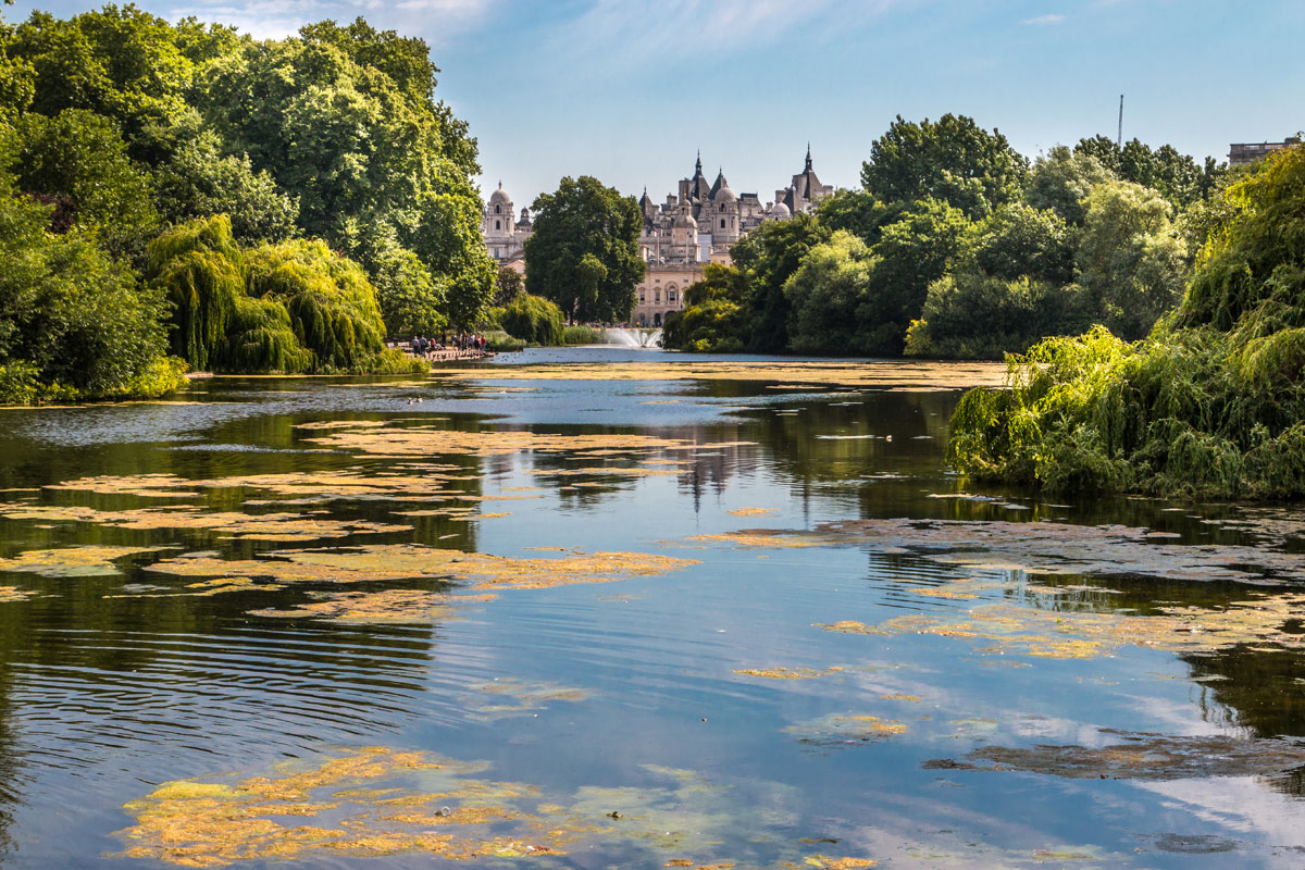 UK Fixer St James Park Royal Park Location applying for permits in London