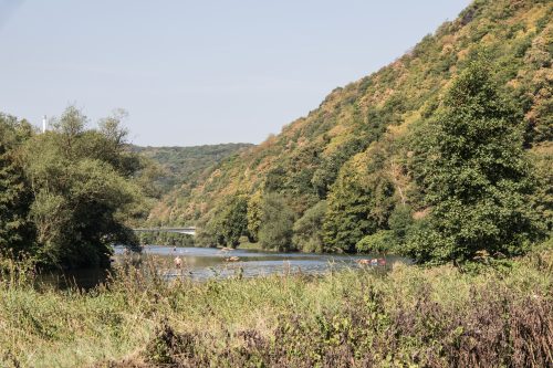 Wanderung Hohensyburg - Hengteysee