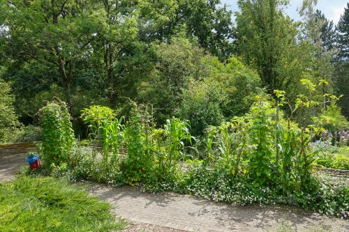 Der Botanischer Garten