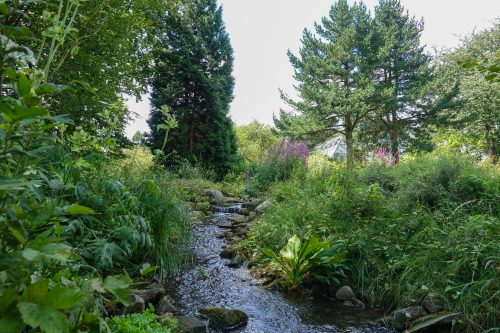 Der Botanischer Garten