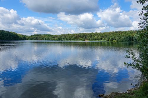 waldsee