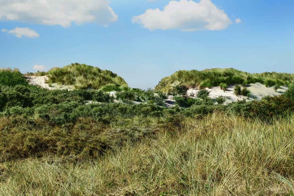 Nordsee Insel Borkum