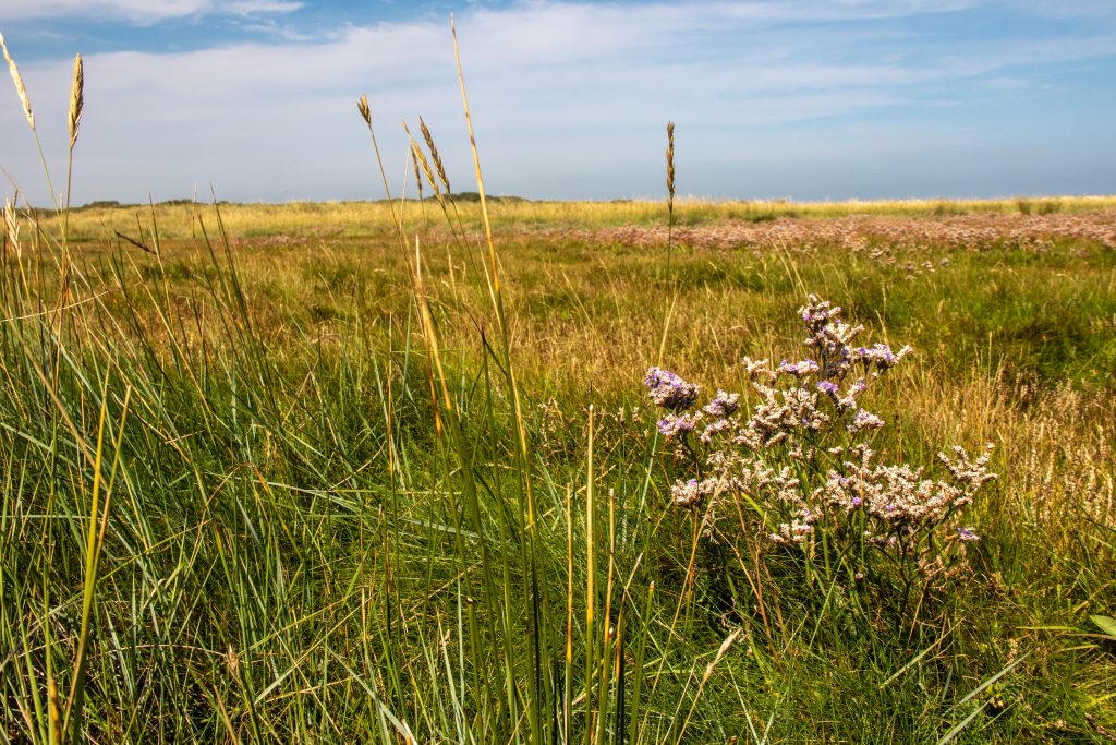 Nordseei Insel Borkum