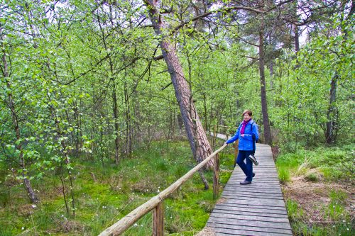 Müritz Nationalpark