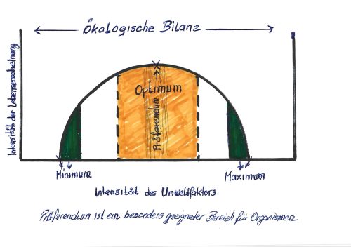 fantastische Welt der Vögel - Ökobilanz