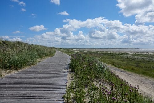 Loopdeelenweg