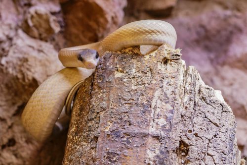 Terrazoo Rheinberg