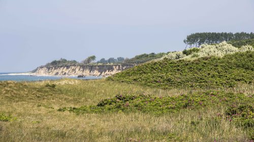 Küste bei Ahrenshoop