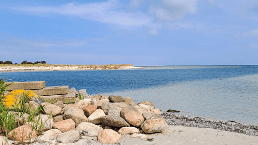 Prerow an der Ostsee