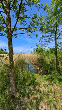 Urlaubsreise an die Ostsee