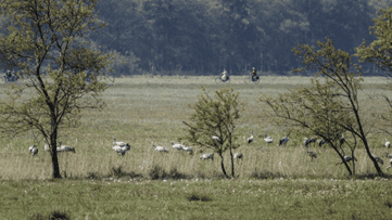 Prerow  an der Ostsee