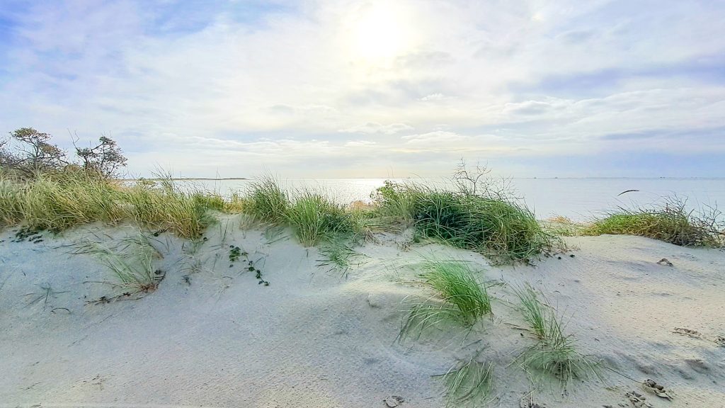 Lieblingsinsel Borkum