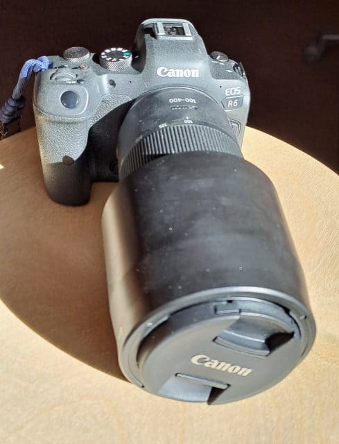 Canon R6