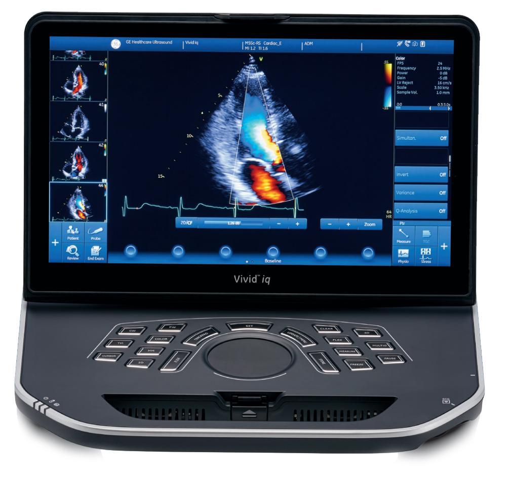GE Vivid IQ