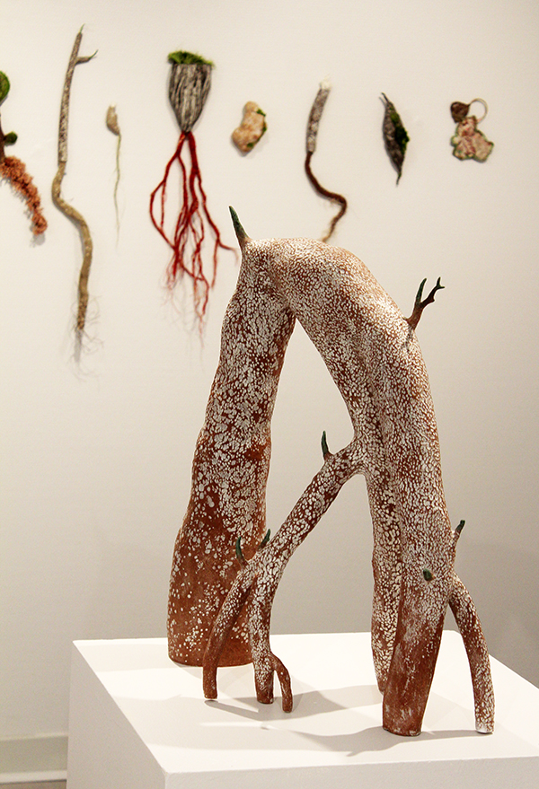Grande marcotte, Sylvie Delphaut